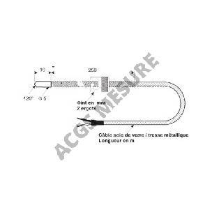 Capteur plastique avec sonde sonde PT100