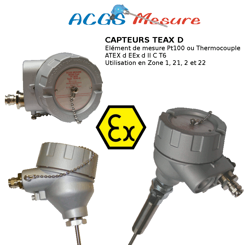 Capteurs ATEX d EEx d II C T6